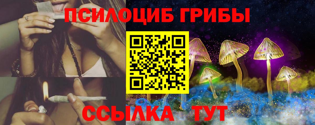 Псилоцибиновые грибы ЛСД Урус-Мартан
