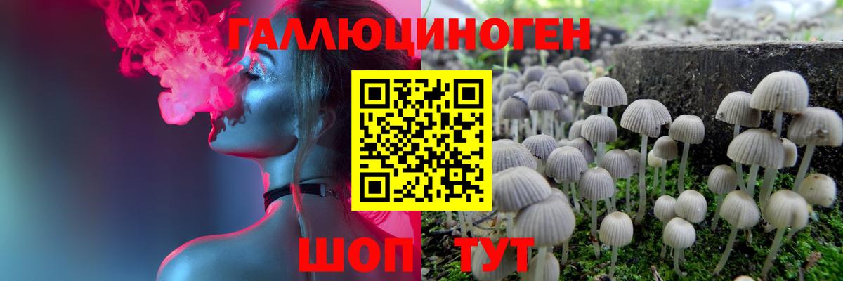 Урус-Мартан  где купить наркоту  Вход с VPN  Псилоцибиновые грибы Psilocybe 